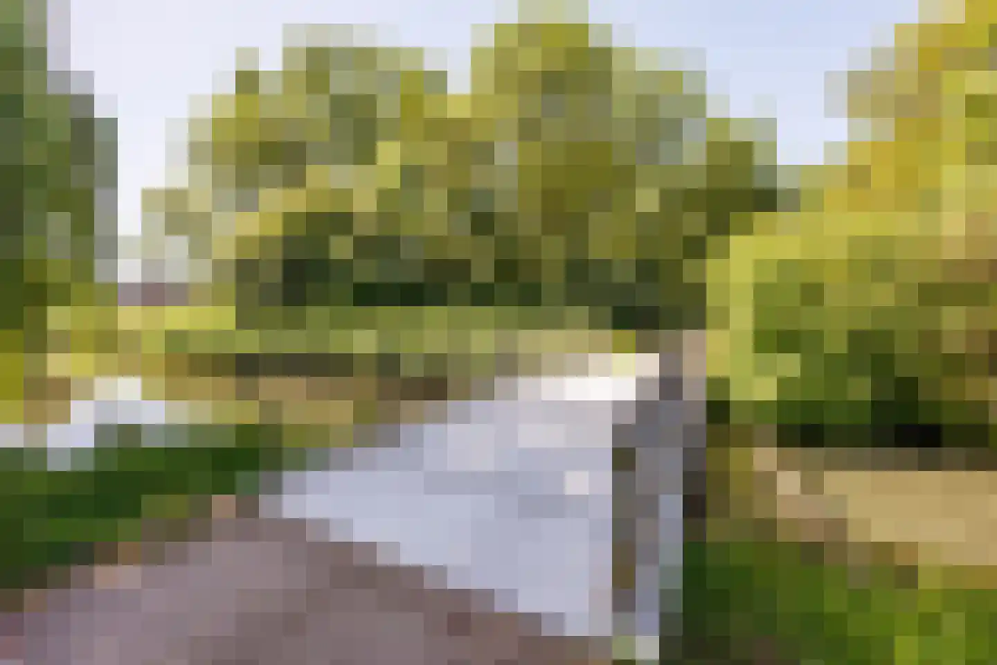 Hoflandstraat 35 Pijnacker thumbnail 30