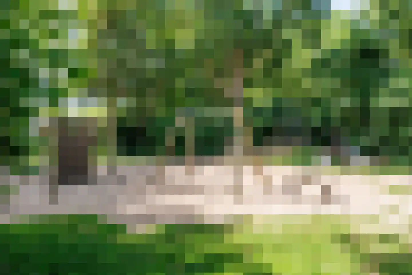 Hoflandstraat 35 Pijnacker thumbnail 34