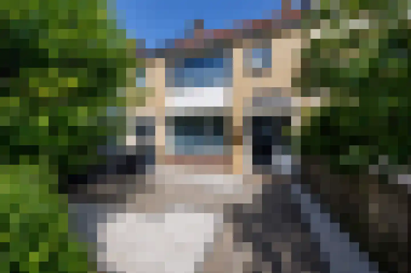 Hoflandstraat 35 Pijnacker thumbnail 6