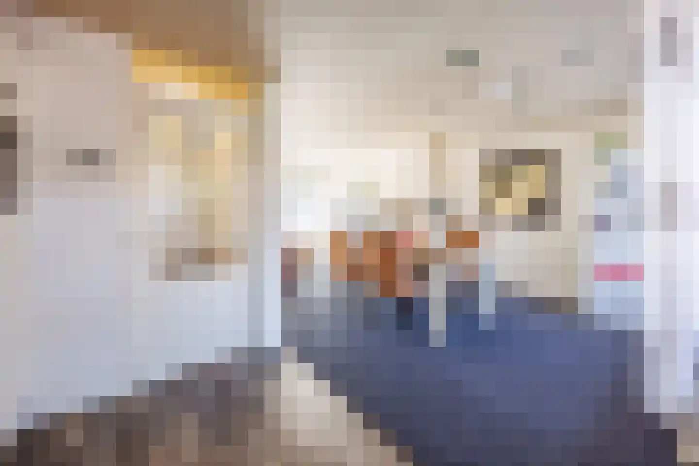 Hoflandstraat 35 Pijnacker thumbnail 9