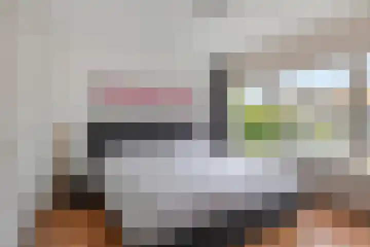 Hoflandstraat 7 Pijnacker thumbnail 15