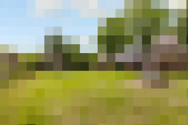 Hofmark 144 Almere thumbnail 47