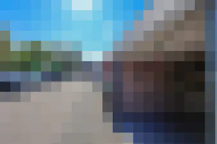 Hofmark 199 Almere thumbnail 29