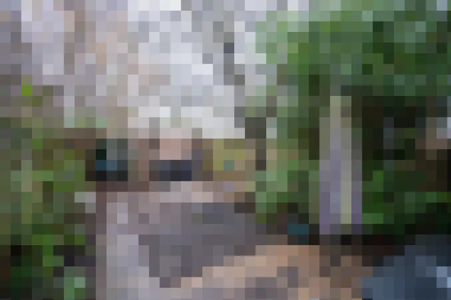 Hofmark 240 Almere thumbnail 6