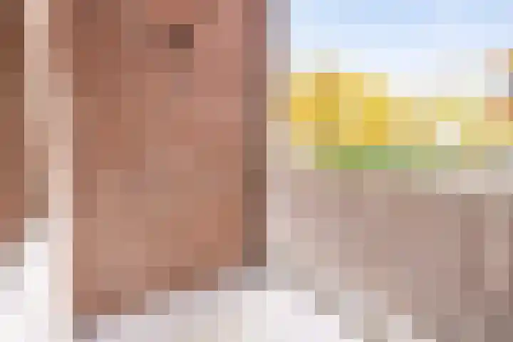 Hofmark 25 Almere thumbnail 30