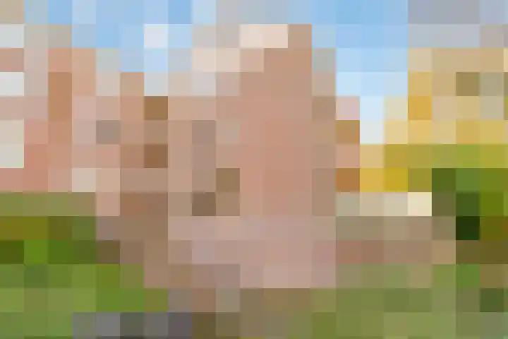 Hofmark 25 Almere thumbnail 33