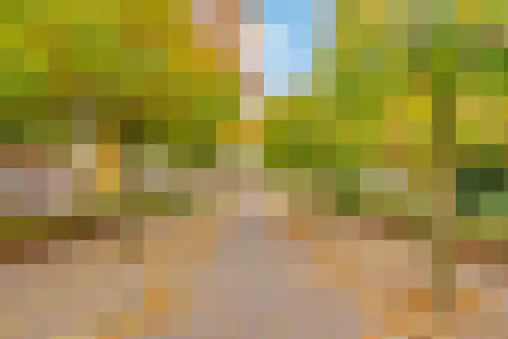 Hofmark 25 Almere thumbnail 35