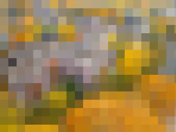 Hofmark 25 Almere thumbnail 38