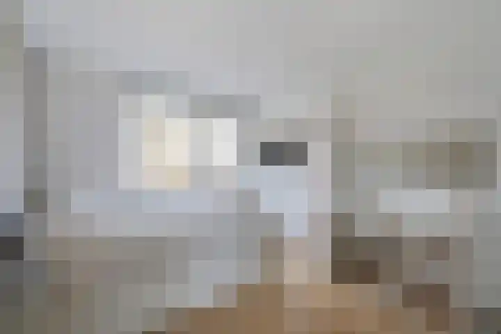 Hofmark 292 Almere thumbnail 22
