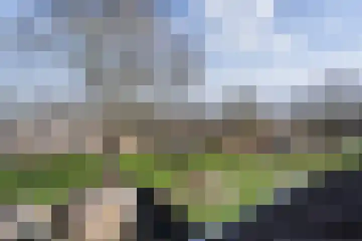 Hofmark 292 Almere thumbnail 38
