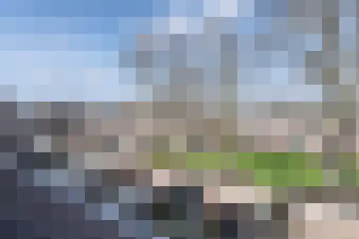 Hofmark 292 Almere thumbnail 39