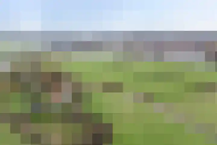 Hofmark 301 Almere thumbnail 54