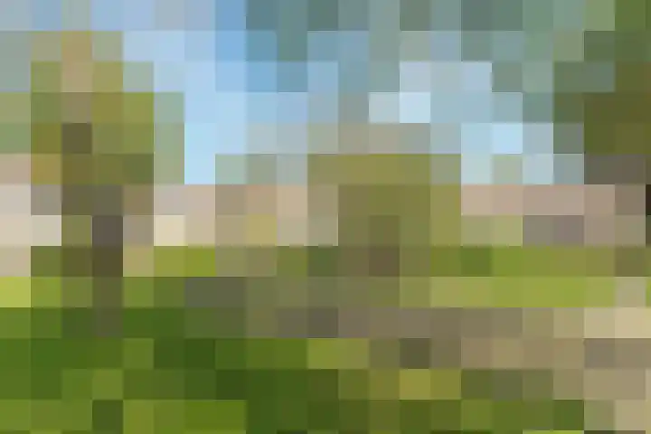 Hofmark 301 Almere thumbnail 55
