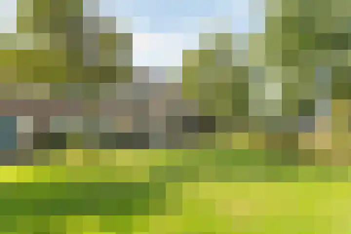 Hofmark 301 Almere thumbnail 6