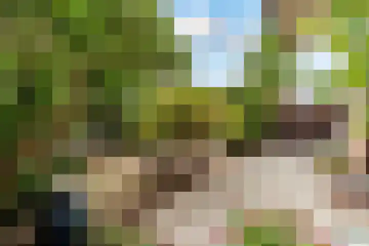 Hofmark 34 Almere thumbnail 32