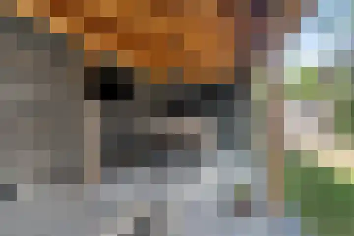 Hofmark 355 Almere thumbnail 38