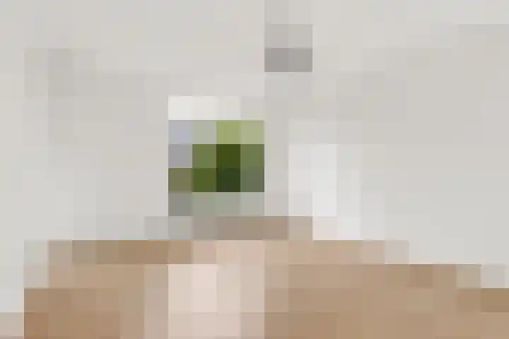 Hofmark 355 Almere thumbnail 6