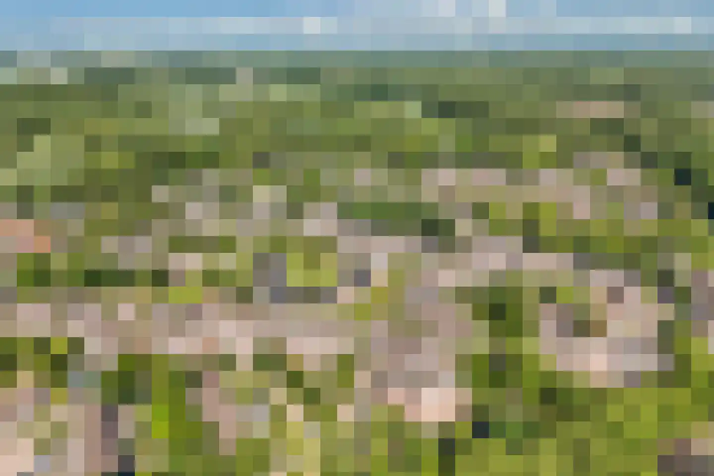 Hofmark 367 Almere thumbnail 30
