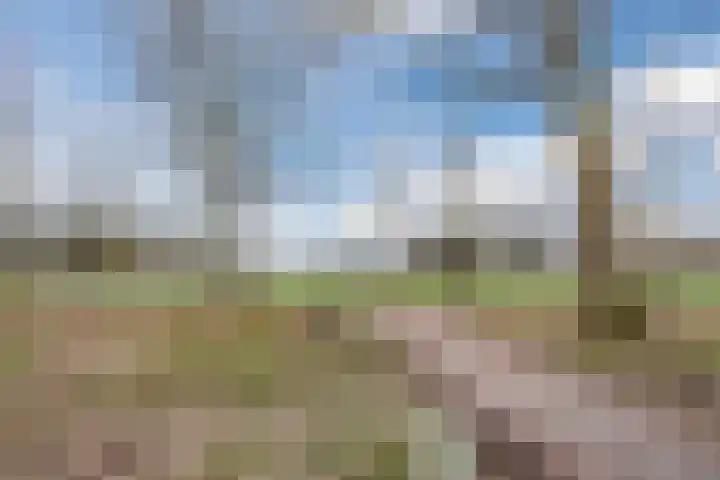 Hofmark 368 Almere thumbnail 39