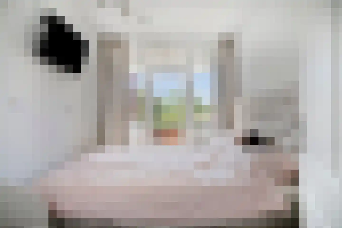 Hofmark 391 Almere thumbnail 7