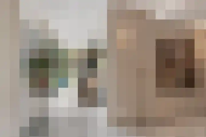 Hofmeesterij 5 Huissen thumbnail 11