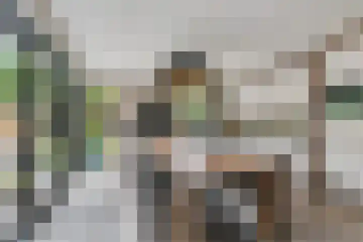 Hofmeesterij 5 Huissen thumbnail 12