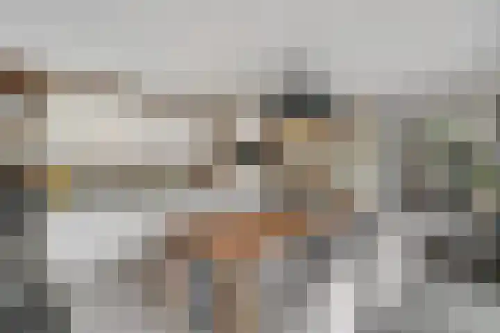 Hofmeesterij 5 Huissen thumbnail 13