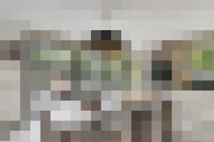 Hofmeesterij 5 Huissen thumbnail 14