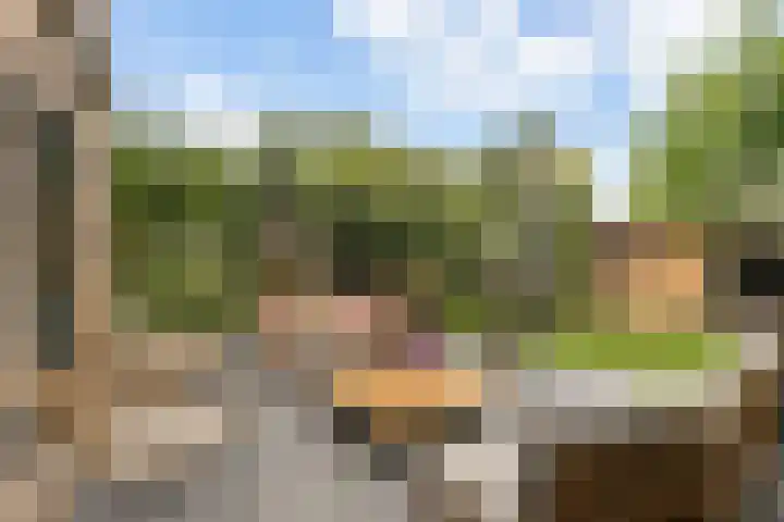 Hofmeesterij 5 Huissen thumbnail 15