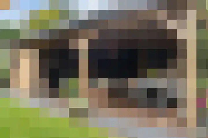 Hofmeesterij 5 Huissen thumbnail 17