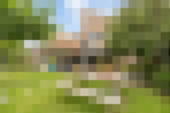 Hofmeesterij 5 Huissen thumbnail 19
