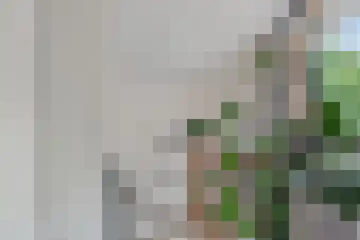 Hofmeesterij 5 Huissen thumbnail 23