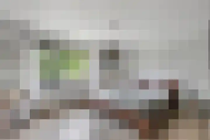 Hofmeesterij 5 Huissen thumbnail 24