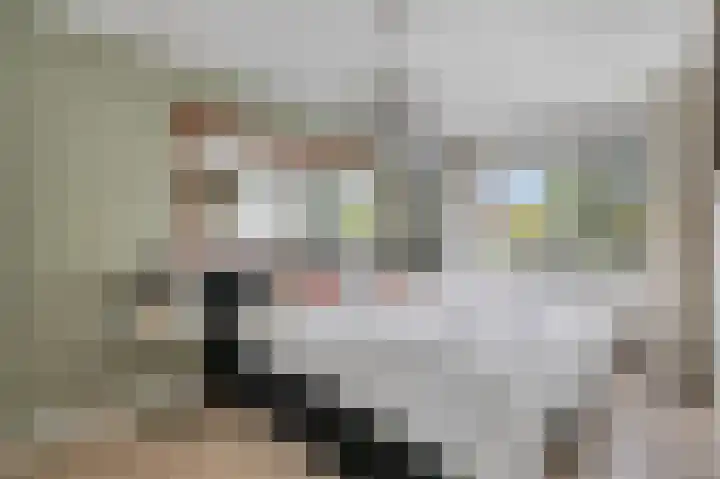 Hofmeesterij 5 Huissen thumbnail 26