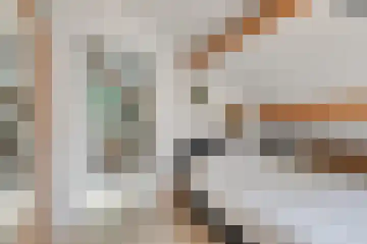 Hofmeesterij 5 Huissen thumbnail 32
