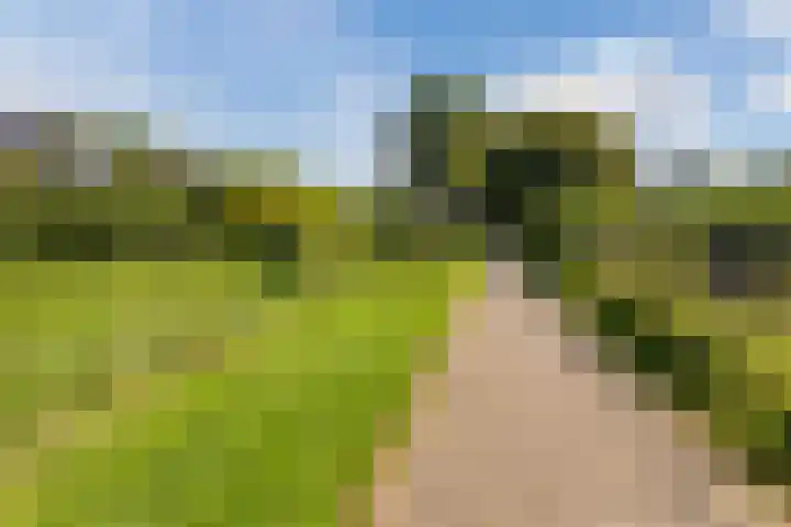 Hofmeesterij 5 Huissen thumbnail 33