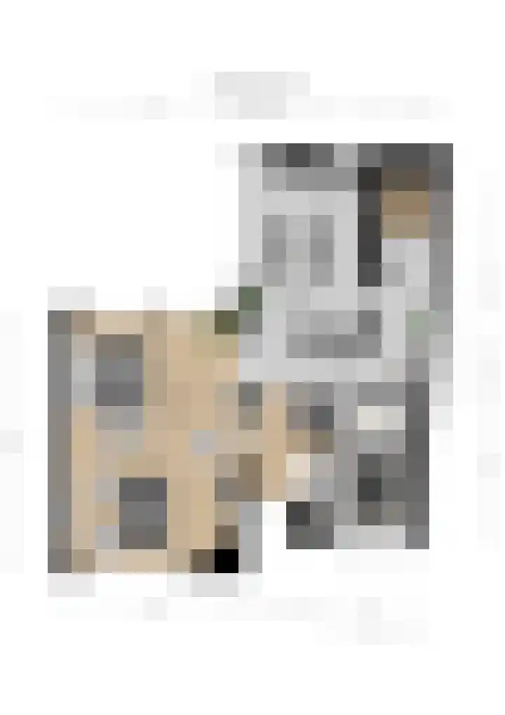 Hofmeesterij 5 Huissen thumbnail 34
