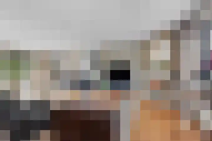 Hofmeesterij 5 Huissen thumbnail 7