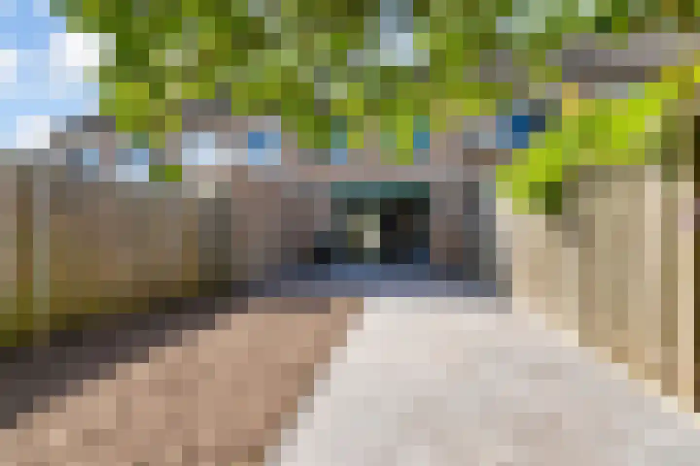 Hofmeesterij 81 Huissen thumbnail 16