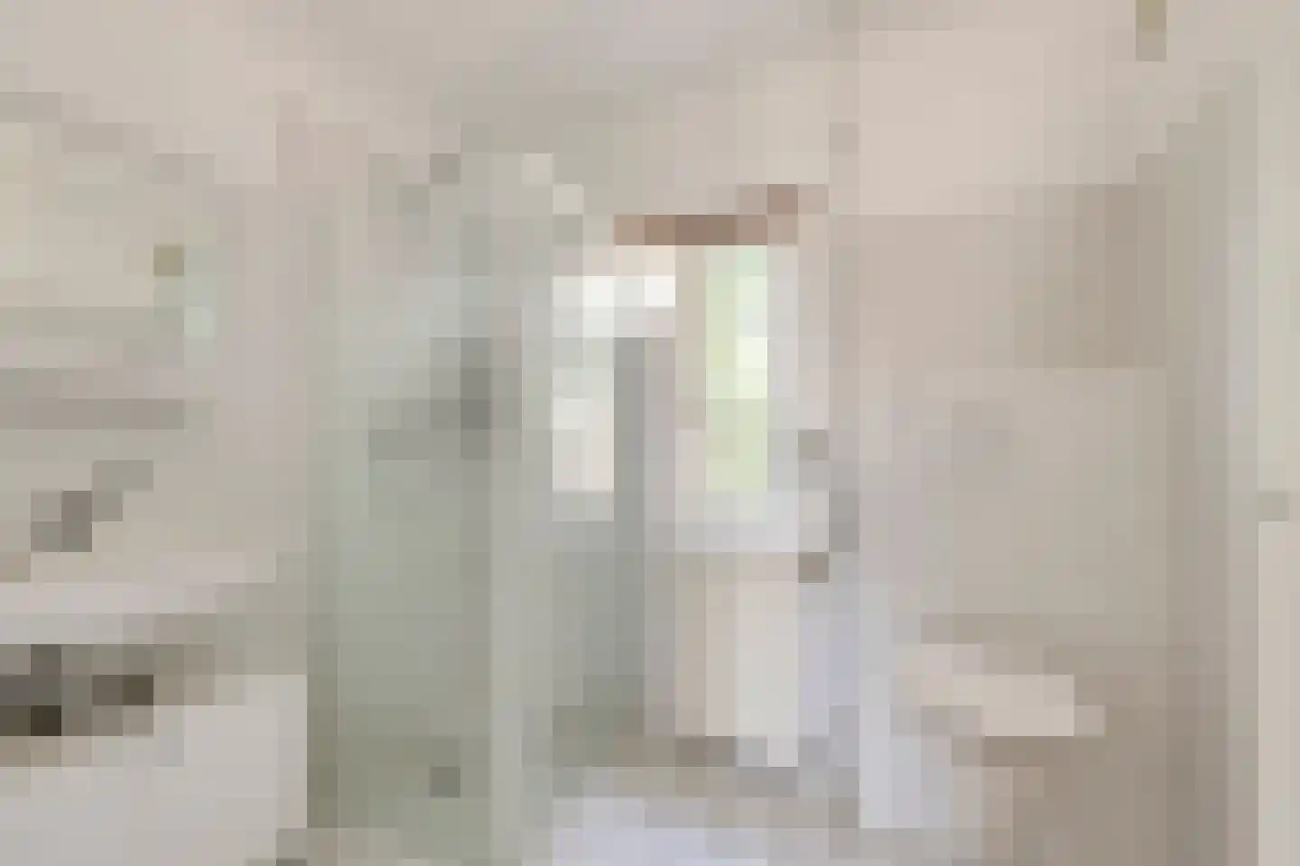 Hofmeesterij 81 Huissen thumbnail 20