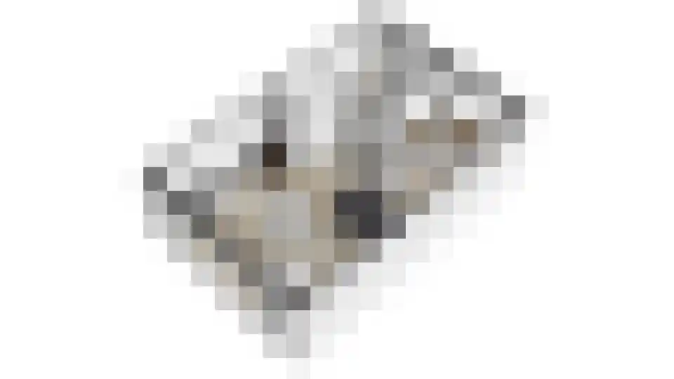 Hofmeesterij 81 Huissen thumbnail 32