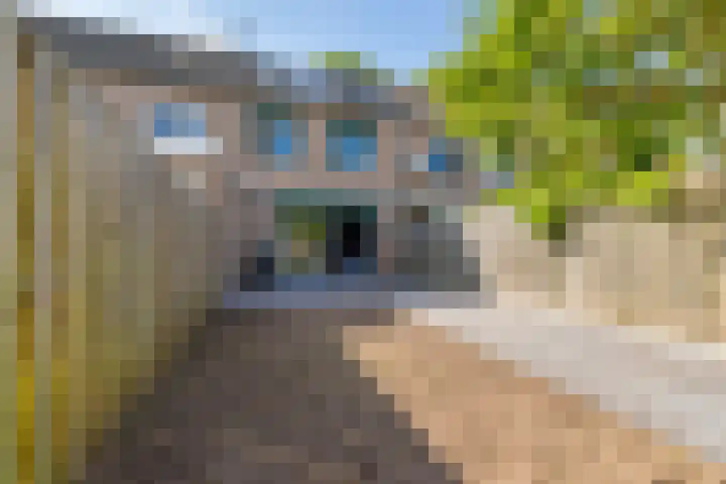 Hofmeesterij 81 Huissen thumbnail 4
