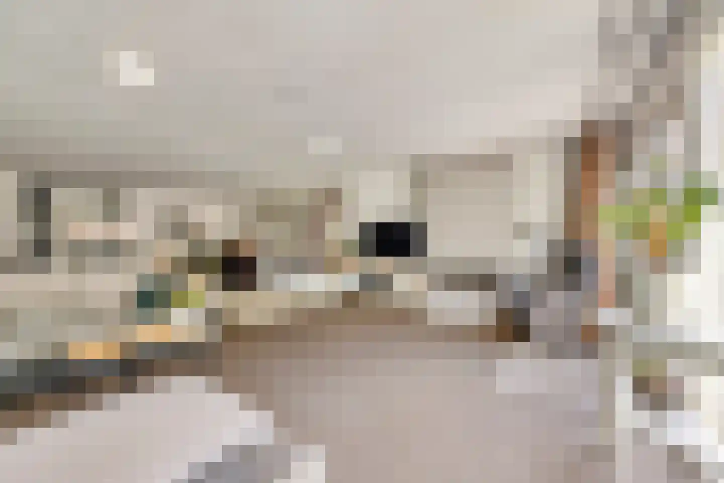 Hofmeesterij 97 Huissen thumbnail 10