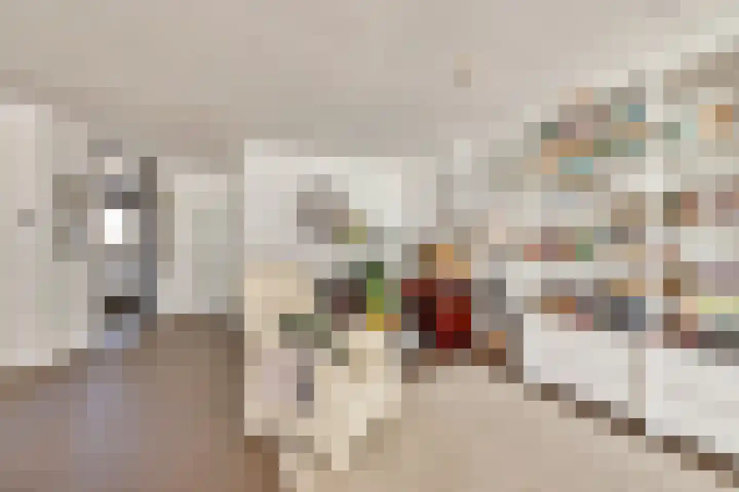 Hofmeesterij 97 Huissen thumbnail 13