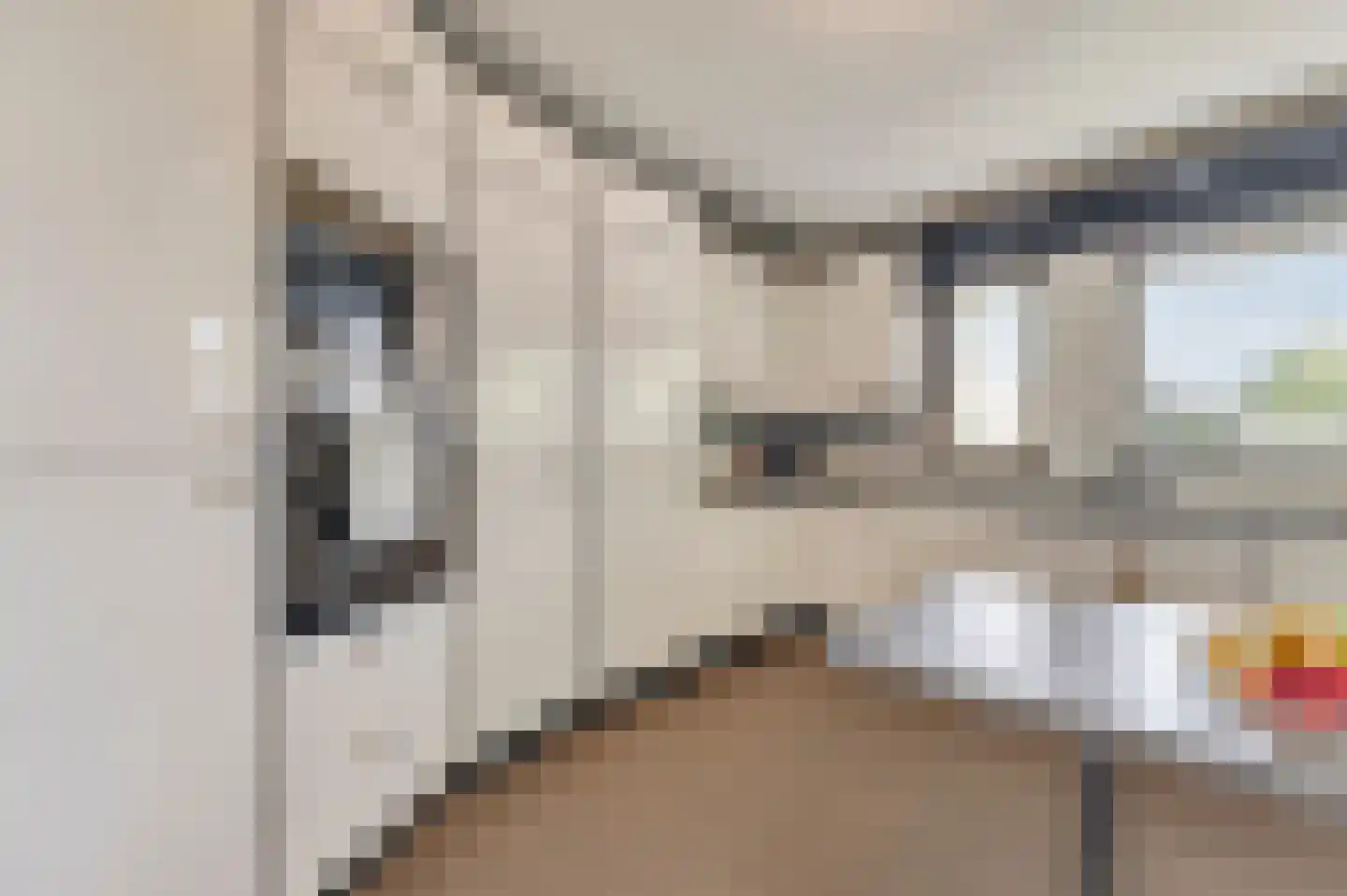 Hofmeesterij 97 Huissen thumbnail 15