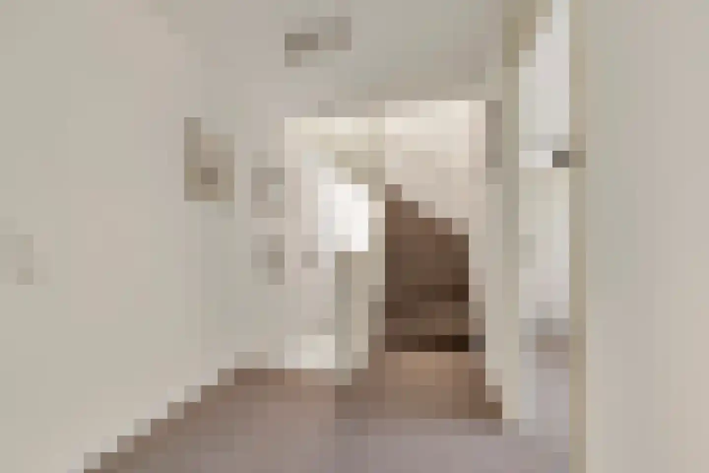Hofmeesterij 97 Huissen thumbnail 19