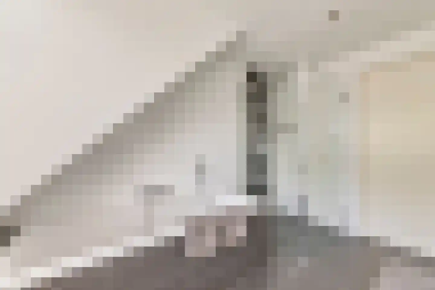Hofmeesterij 97 Huissen thumbnail 23