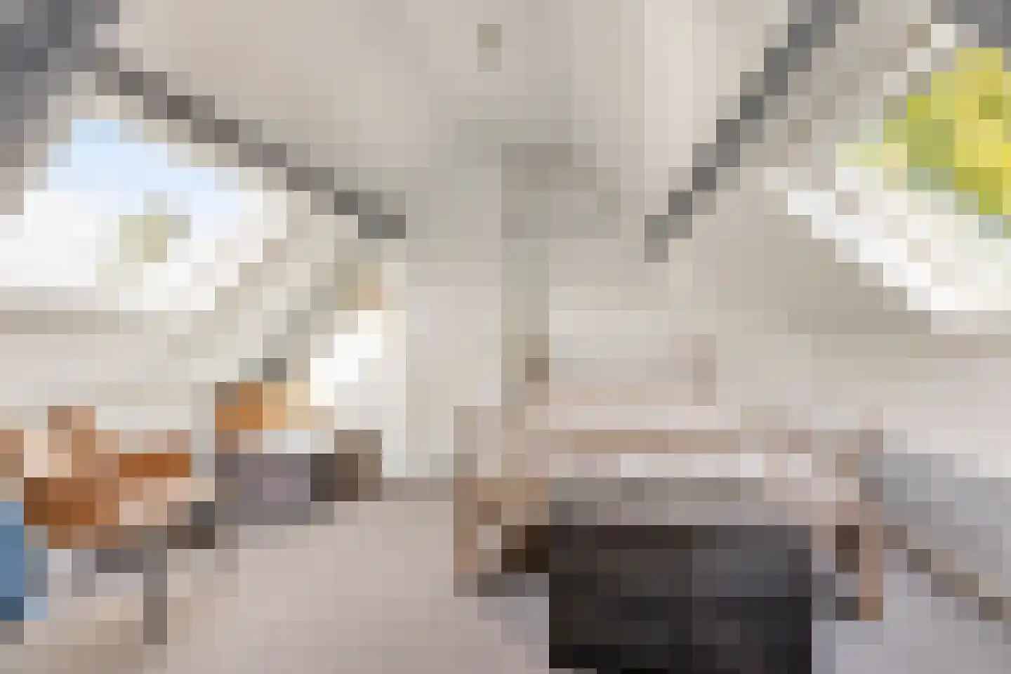 Hofmeesterij 97 Huissen thumbnail 26