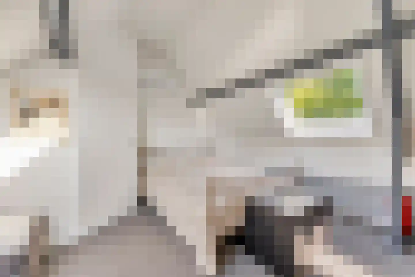 Hofmeesterij 97 Huissen thumbnail 27