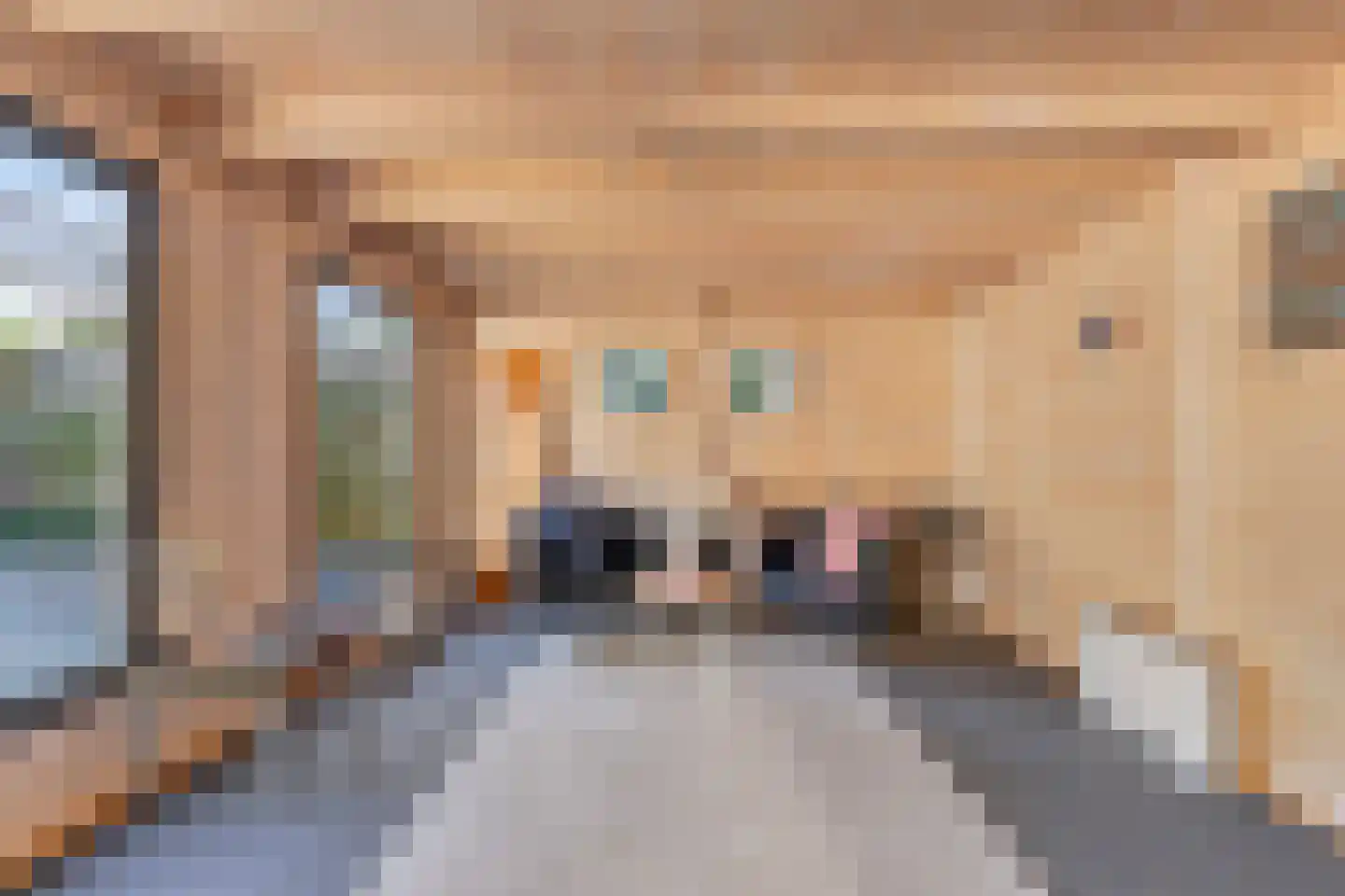 Hofmeesterij 97 Huissen thumbnail 34